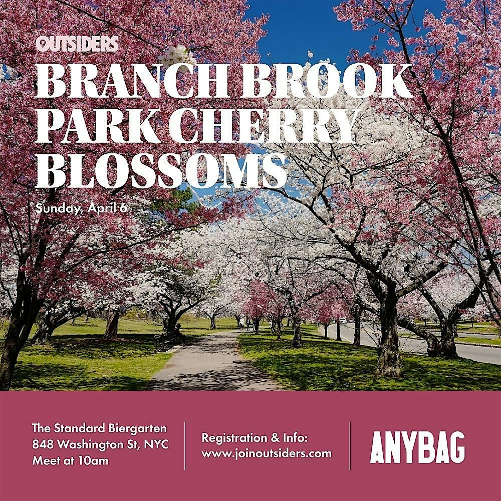 Branch Brook Park Cherry Blossoms