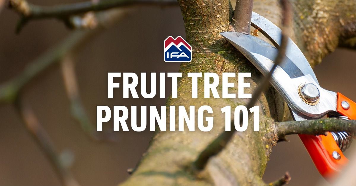 Fruit Tree Pruning 101 Class - Riverton