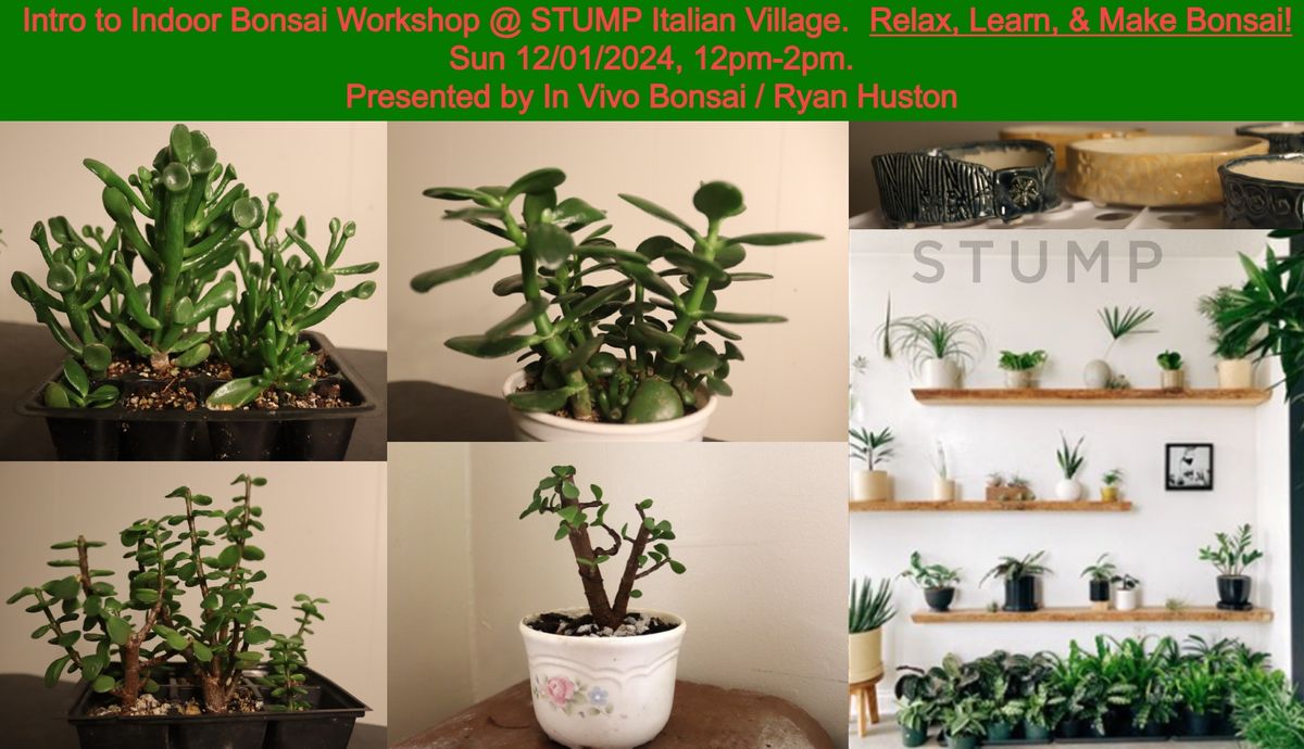 Intro to Indoor Bonsai Workshop at STUMP Italian Village