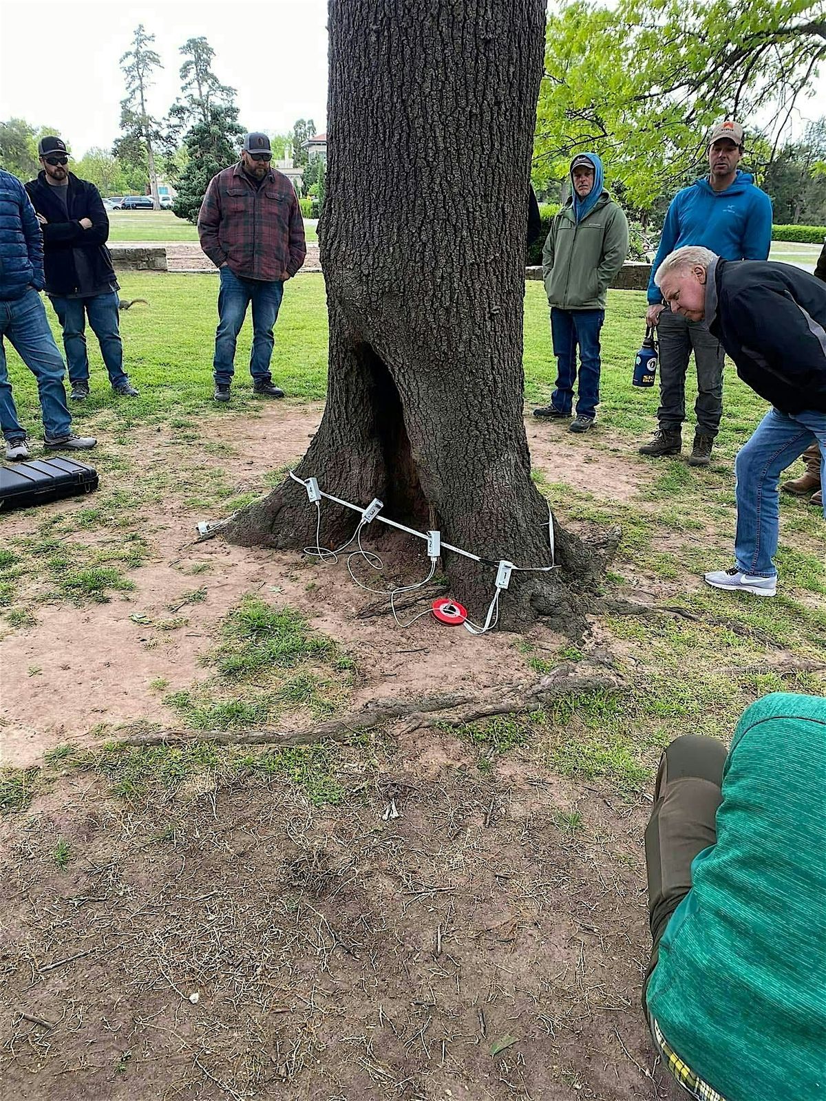 Tree Decay Workshop