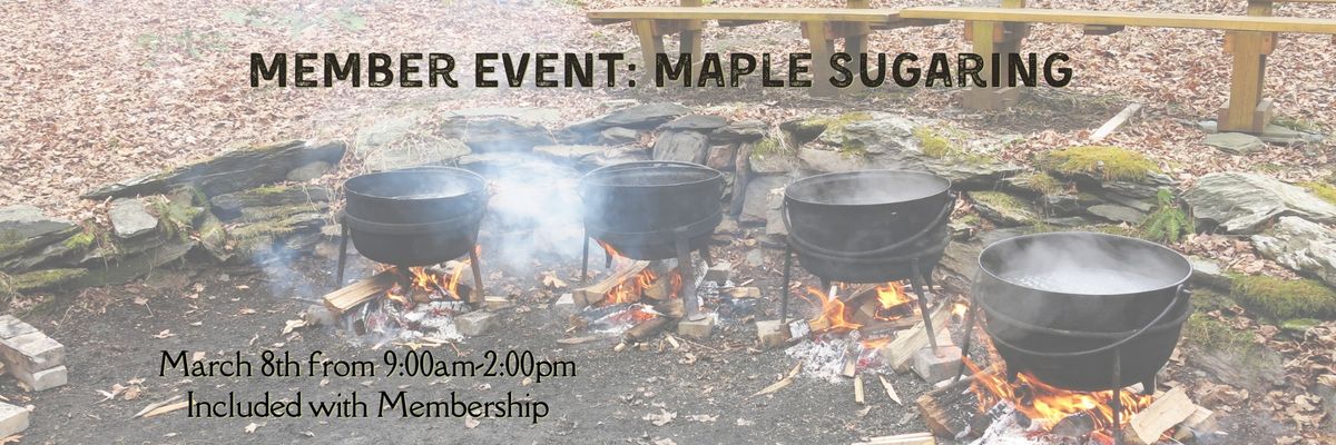 Member Event: Maple Sugaring