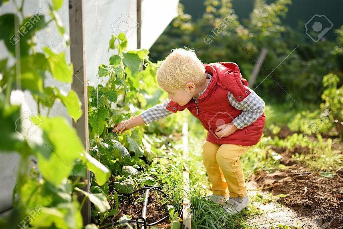 Curious Sprouts Ages 3 - 5 with Caregiver