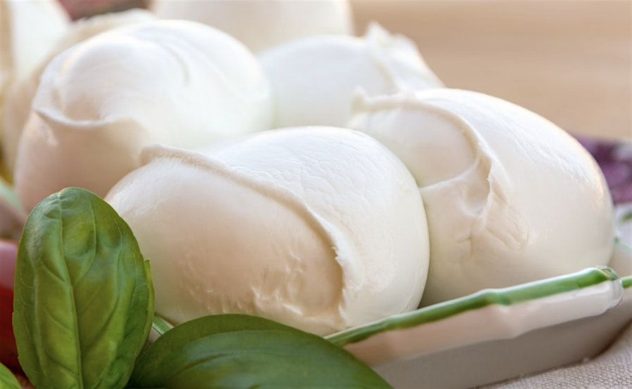 Let's Make Mozzarella & Burrata!