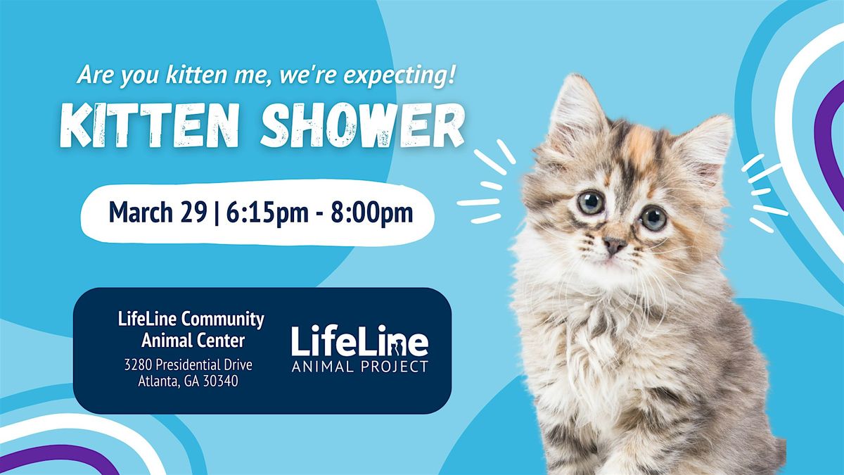 Kitten Shower