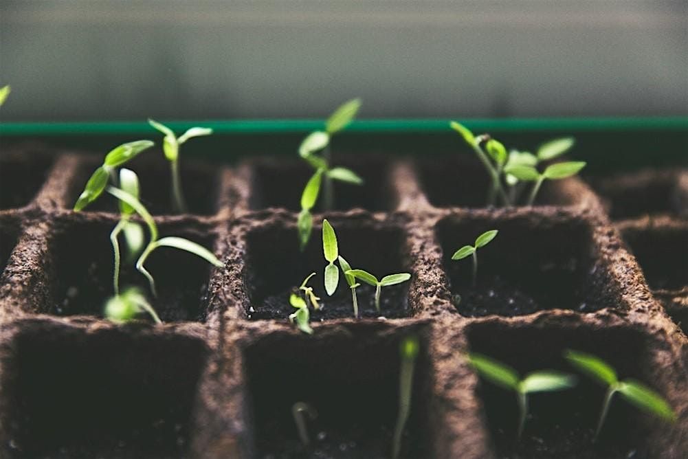 Start Your Garden Seeds at W.S. Jenks