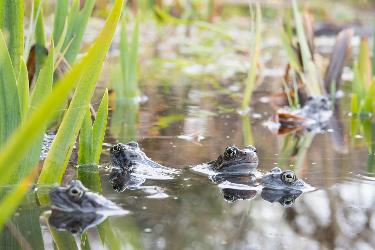 Nature Tots at Centre for Wildlife Gardening - Spring 1 (Jan-Feb 2026)