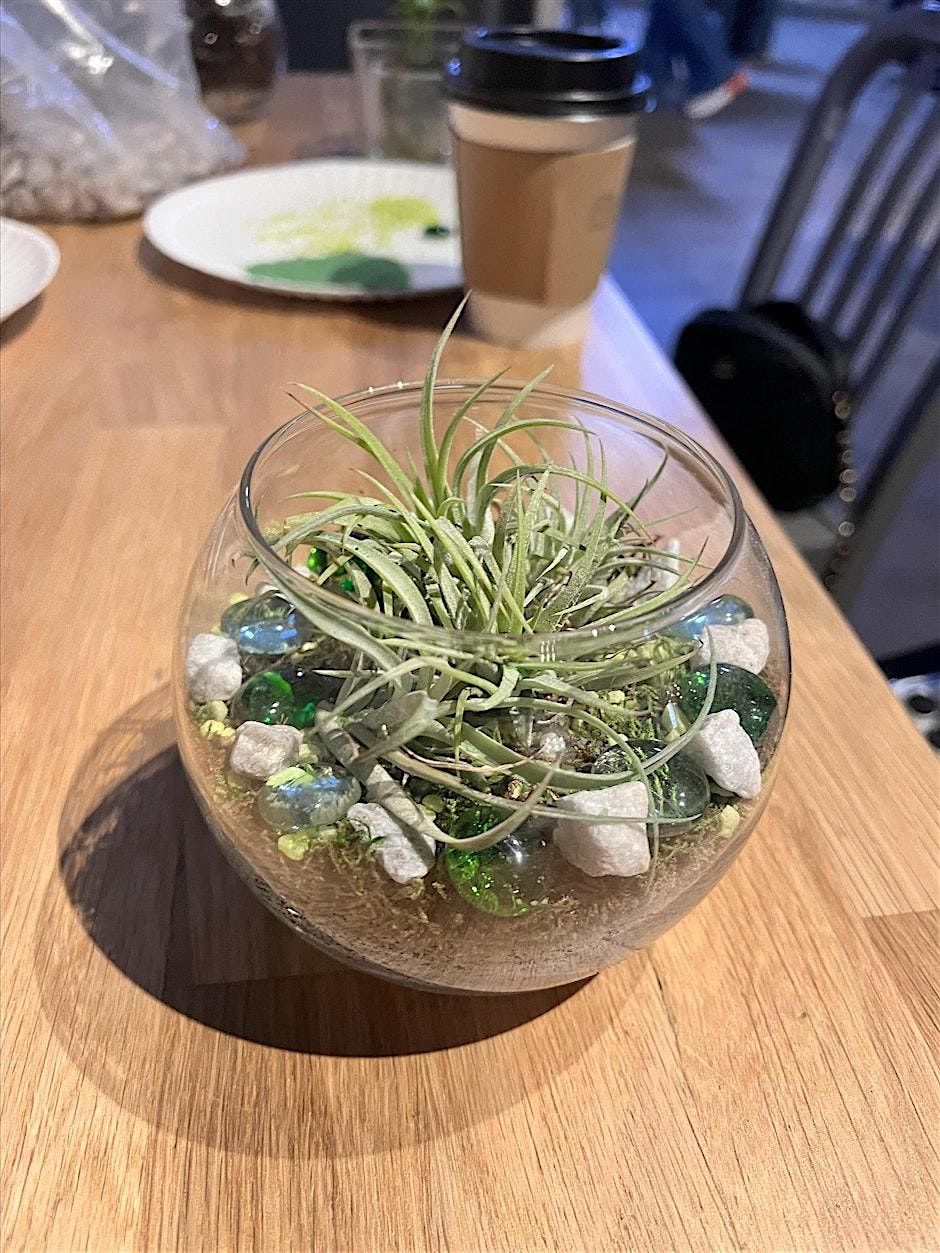 Terrarium Building Workshop