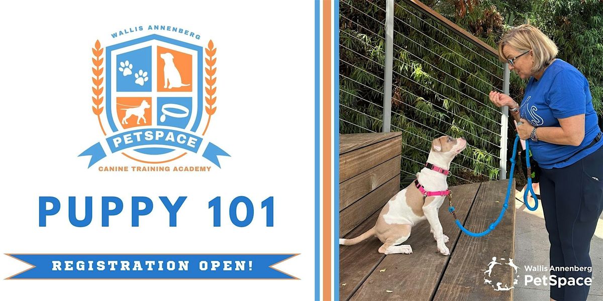 PetSpace Canine Training Academy: Puppy 101