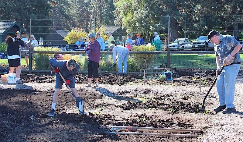 Putting Your Vegetable Garden to Bed