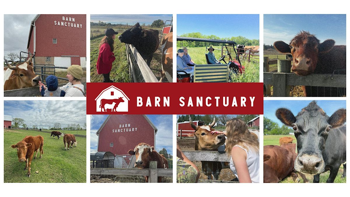 Special Cow Tour