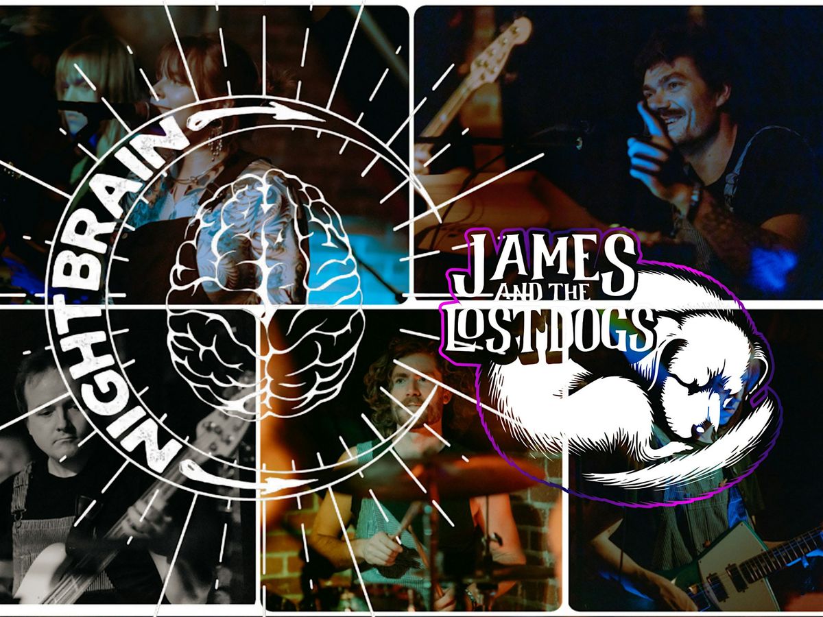 NIGHTBRAIN, James & The Lost Dogs LIVE at The Rosebud