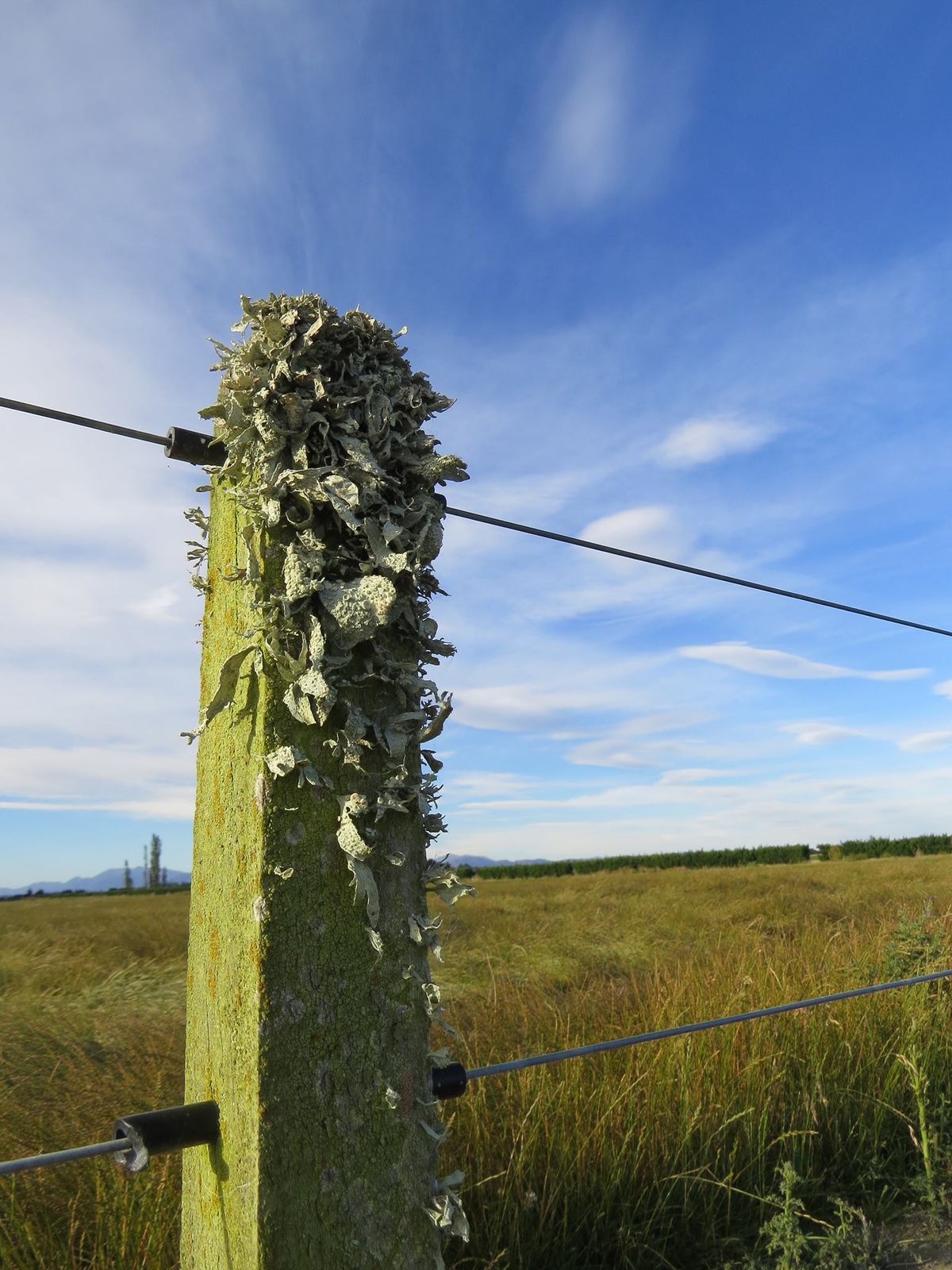 Methven Arts and Growers Market