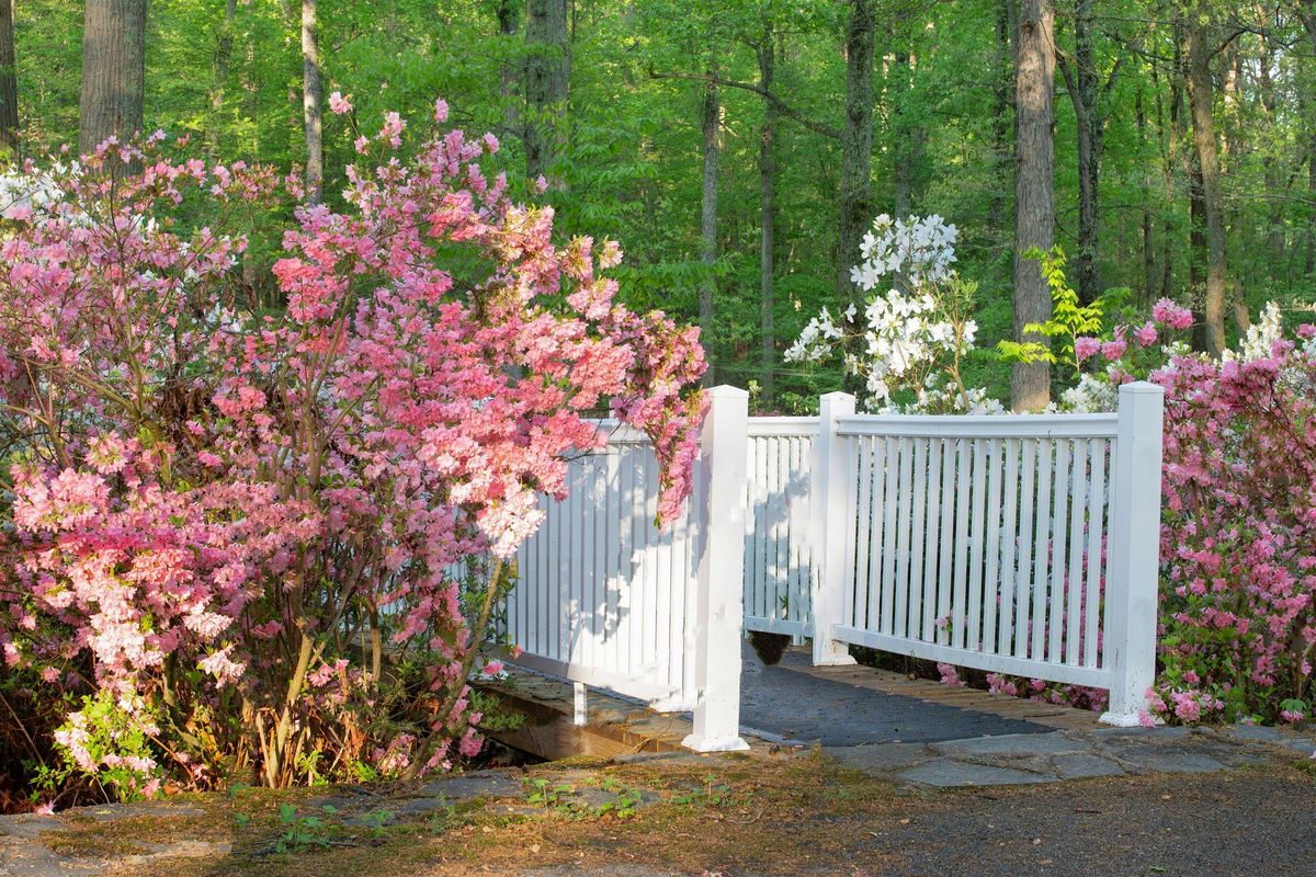 Awesome Scavenger Hunt! - Brookeville Bounty Bonanza