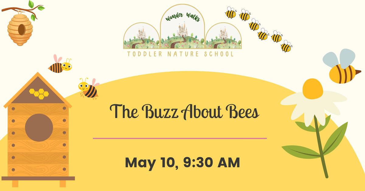 Wonder Walks: The Buzz about Bees