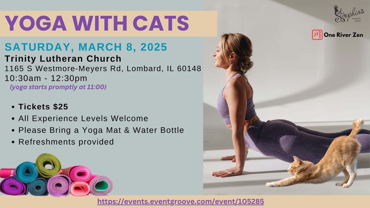 Yoga With Cats 