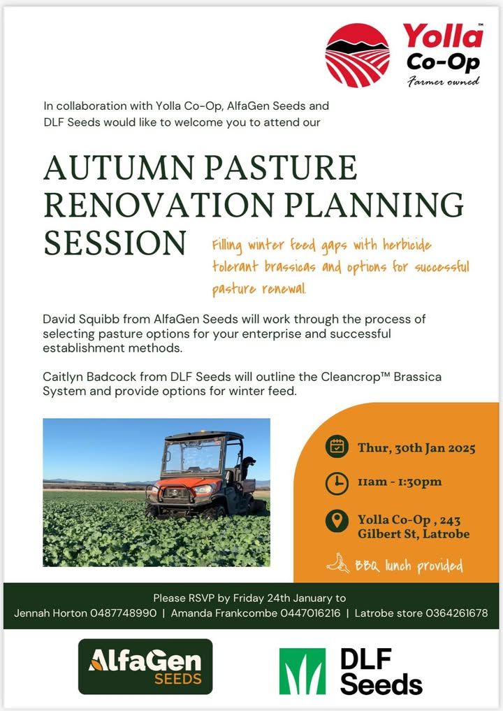 Autumn Pasture Session 