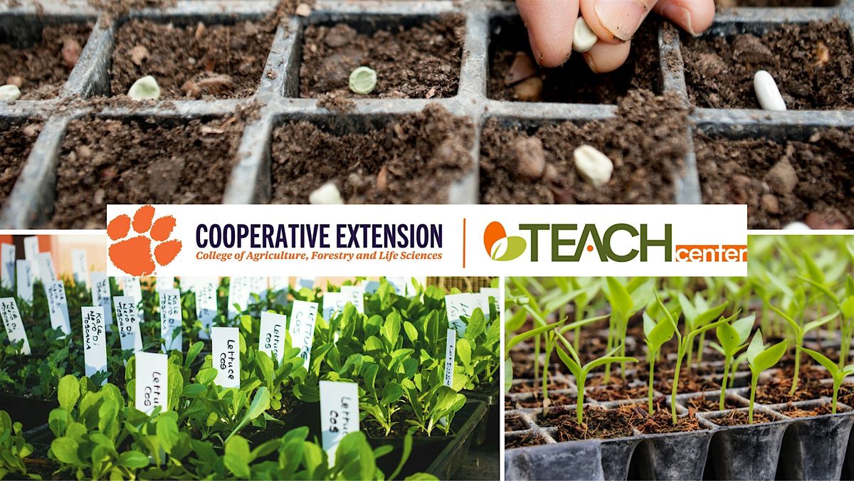 Lunch & Learn- Growing Vegetable Transplants from Seed