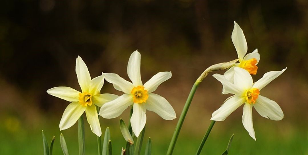 Easter on the Farm