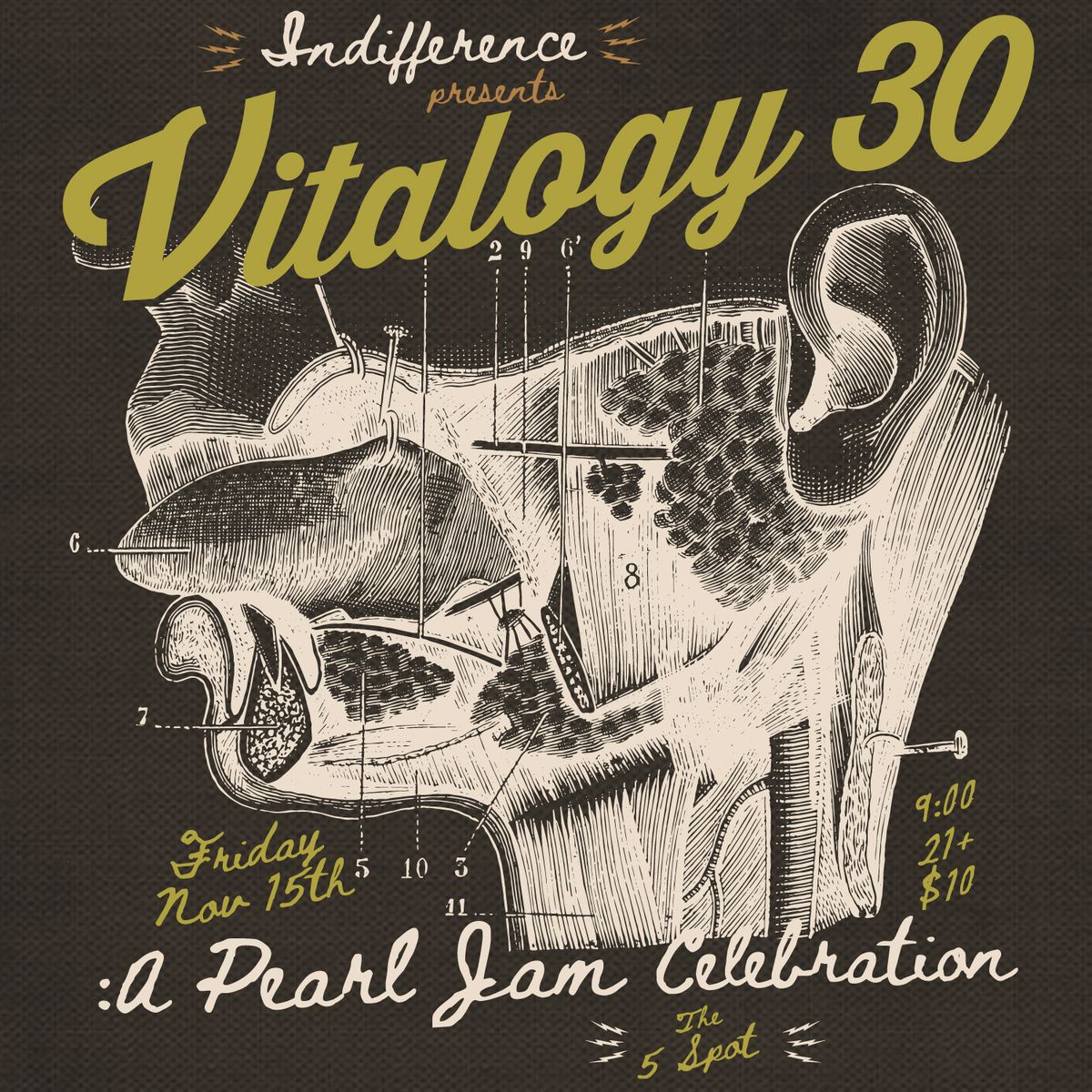 Indifference presents VITALOGY 30: A Pearl Jam Celebration