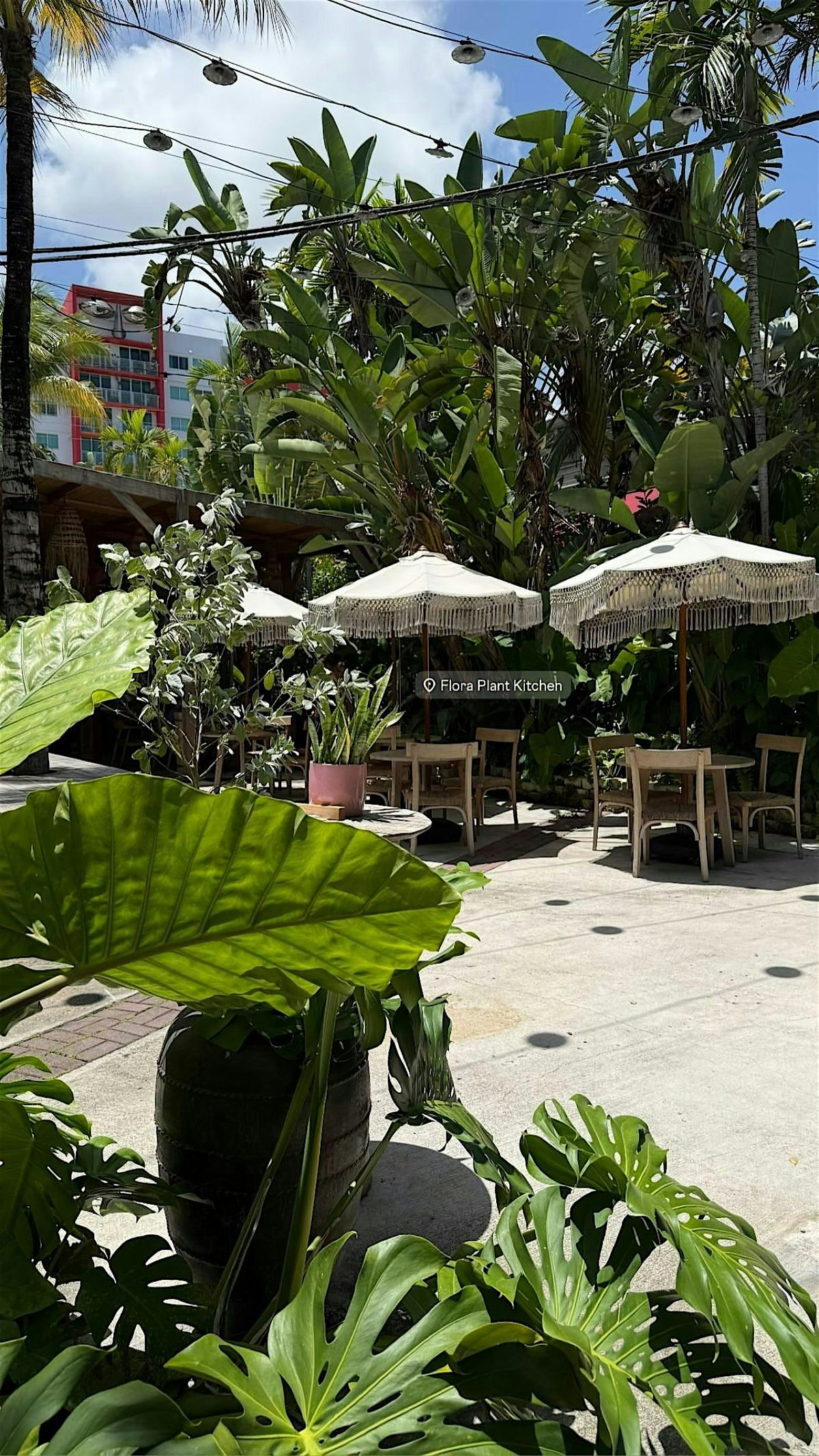 BRUNCH & SHOP MARKET - Muse Aura Bazaar at Flora Plant Kitchen!