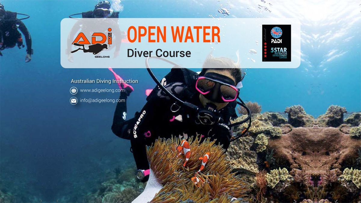 PADI Open Water Diver Course | Beginner Learn to Dive