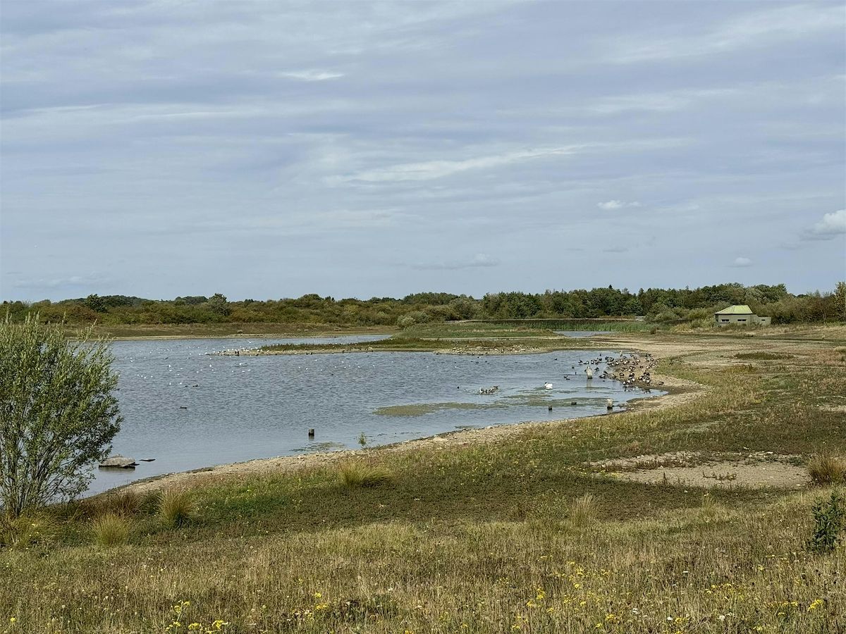 Winter wander at Rainton Meadows