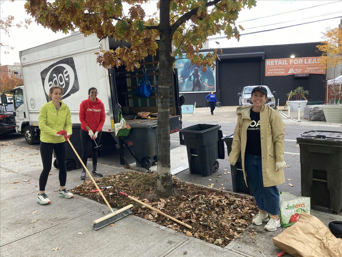 Street Tree Care  on Borden Avenue