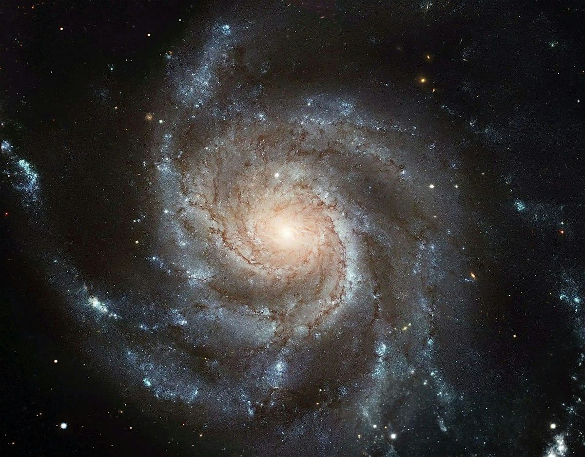 Cosmic Walk