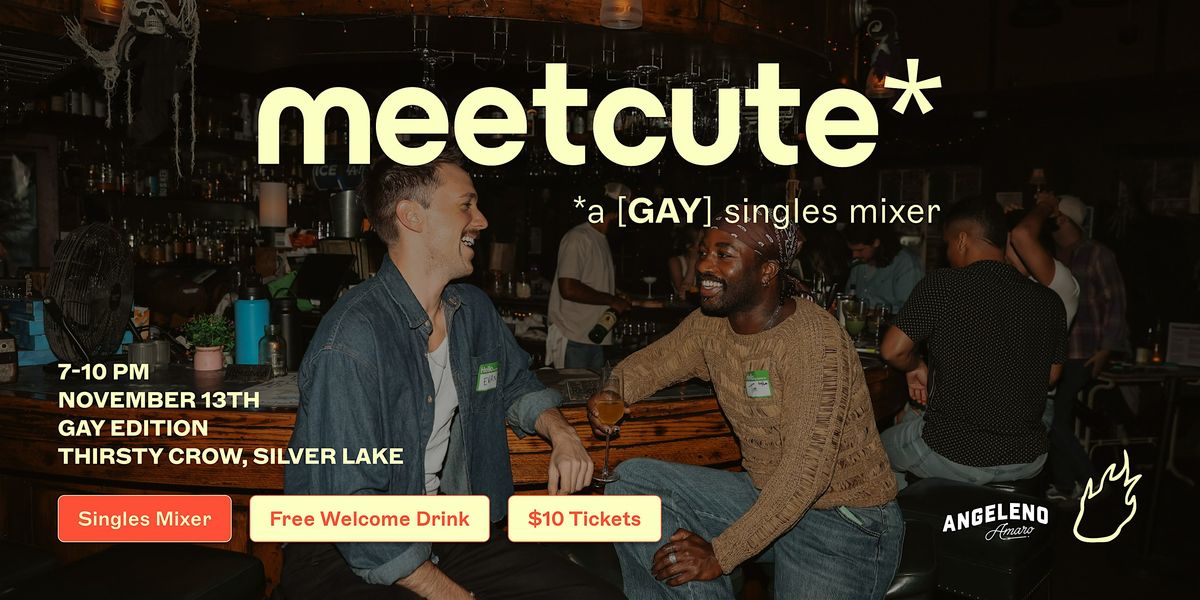 Friend or Flame Gay Singles Mixer | Thirsty Crow | Silver Lake