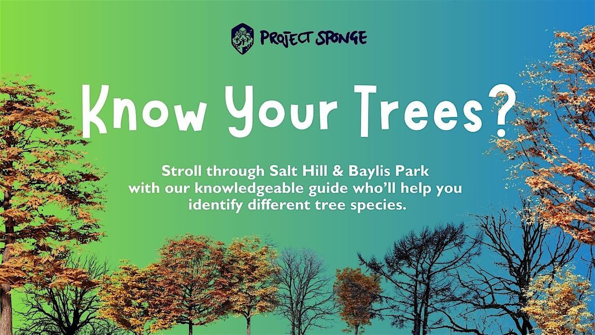Tree Identification Walk