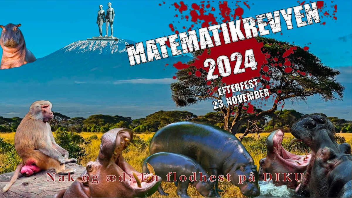 MATEMATIKREVYEN 2024 - Efterfesten