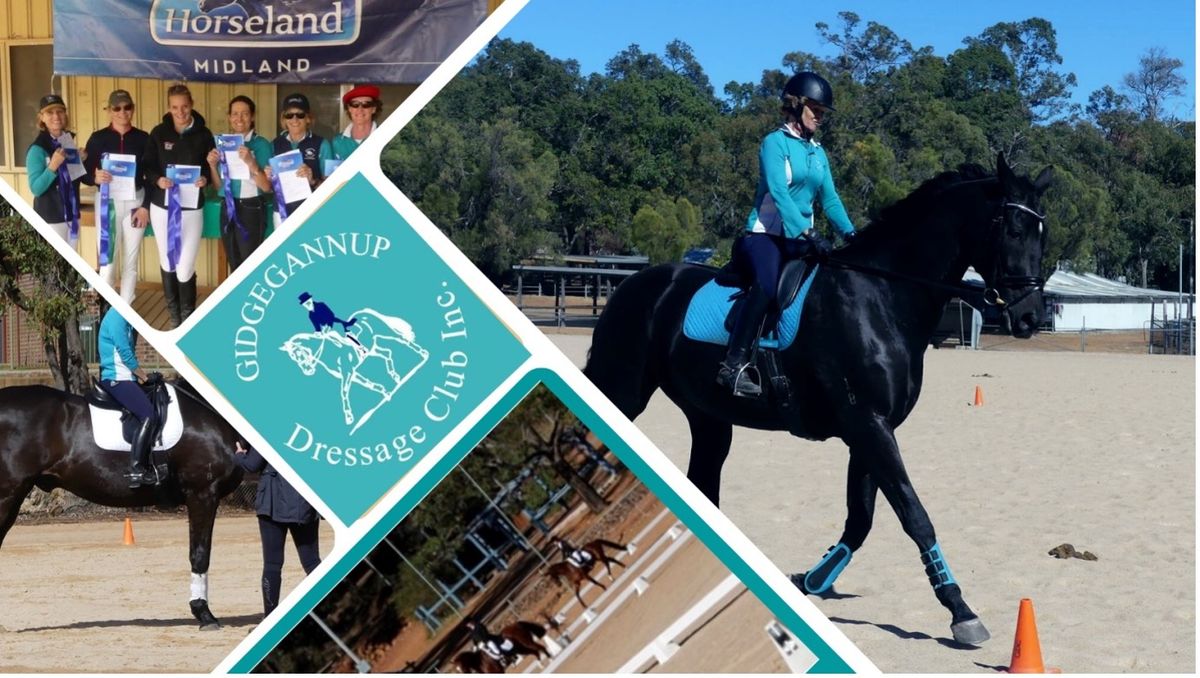 Autumn Dressage Festival