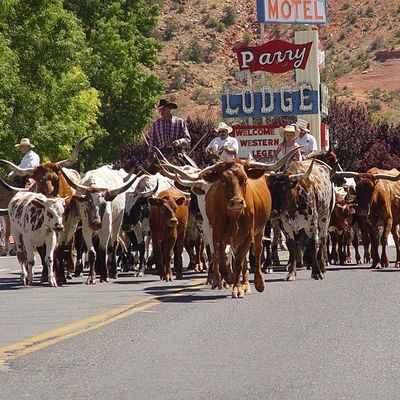 Center for Education, Business, and the Arts (CEBA)