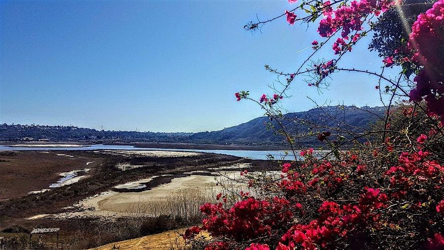 BWA SAN DIEGO: Batiquitos Lagoon Trail
