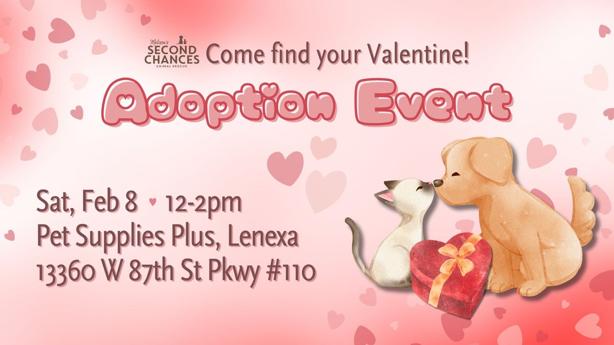 Pet Supplies Plus Lenexa Adoption Event 