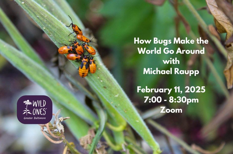 How Bugs Make the World Go Around with Michael Raupp