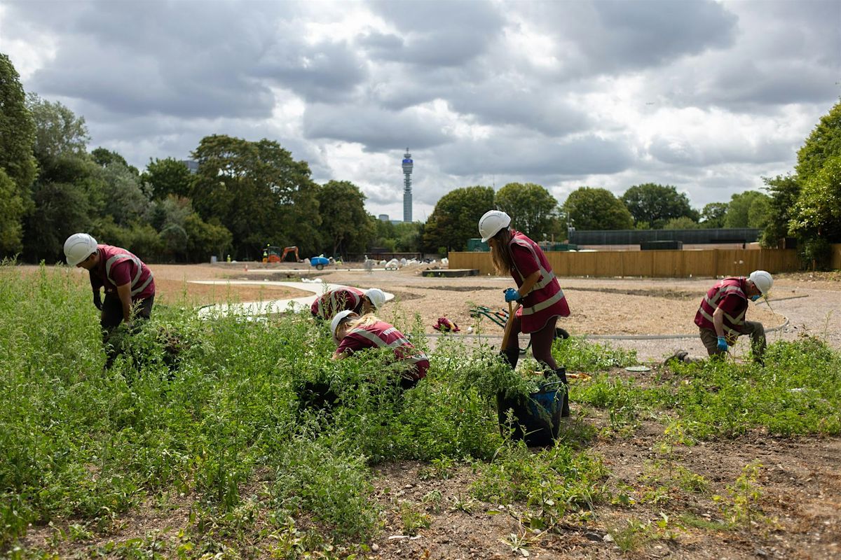 Bulb Planting Day in The Regent's Park New Garden