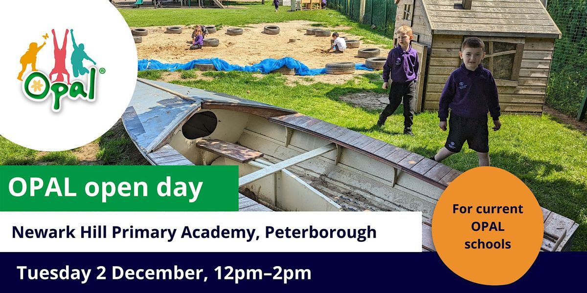 Current schools: OPAL school visit - Newark Hill Primary Academy