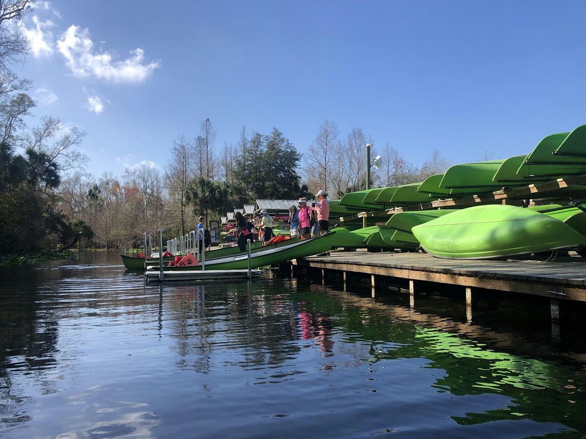 November Eco Paddle - Wekiva River