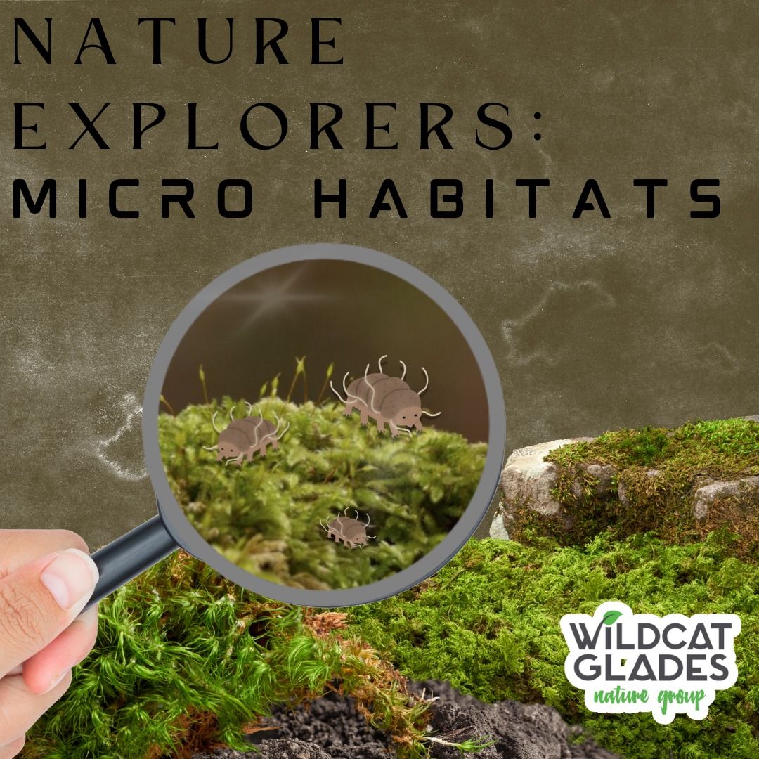 Nature Explorers: Micro Habitats