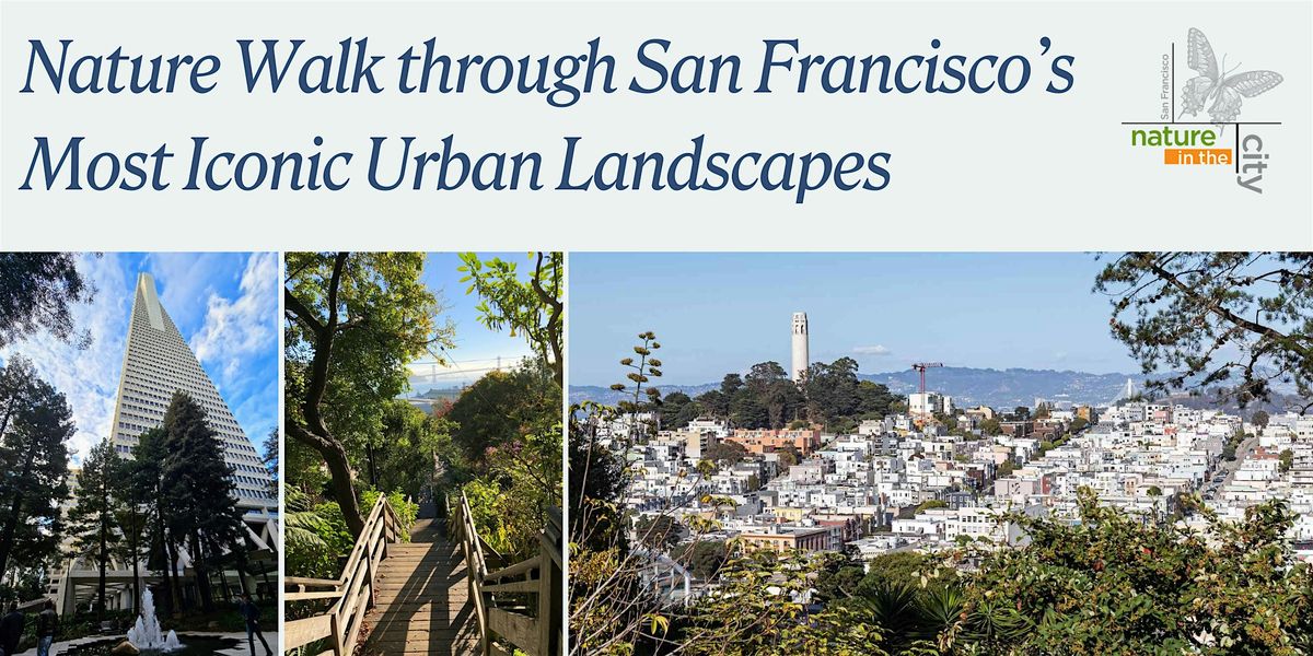 Nature Walk through San Francisco\u2019s Most Iconic Urban Landscapes