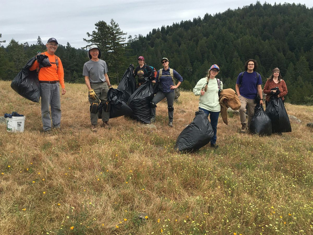 Stewardship Day at Jenner Headlands Preserve