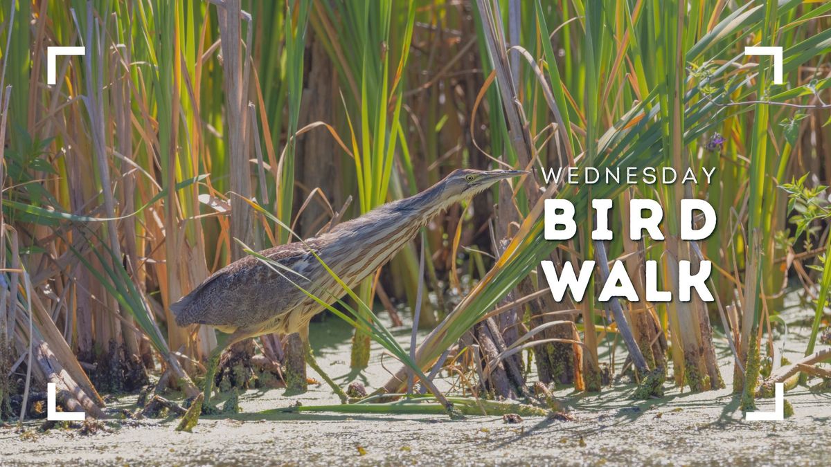 Wed. Bird Walk: Bog + Lake