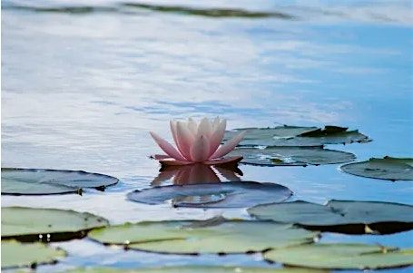 30 Minute Lunchtime Guided Meditation