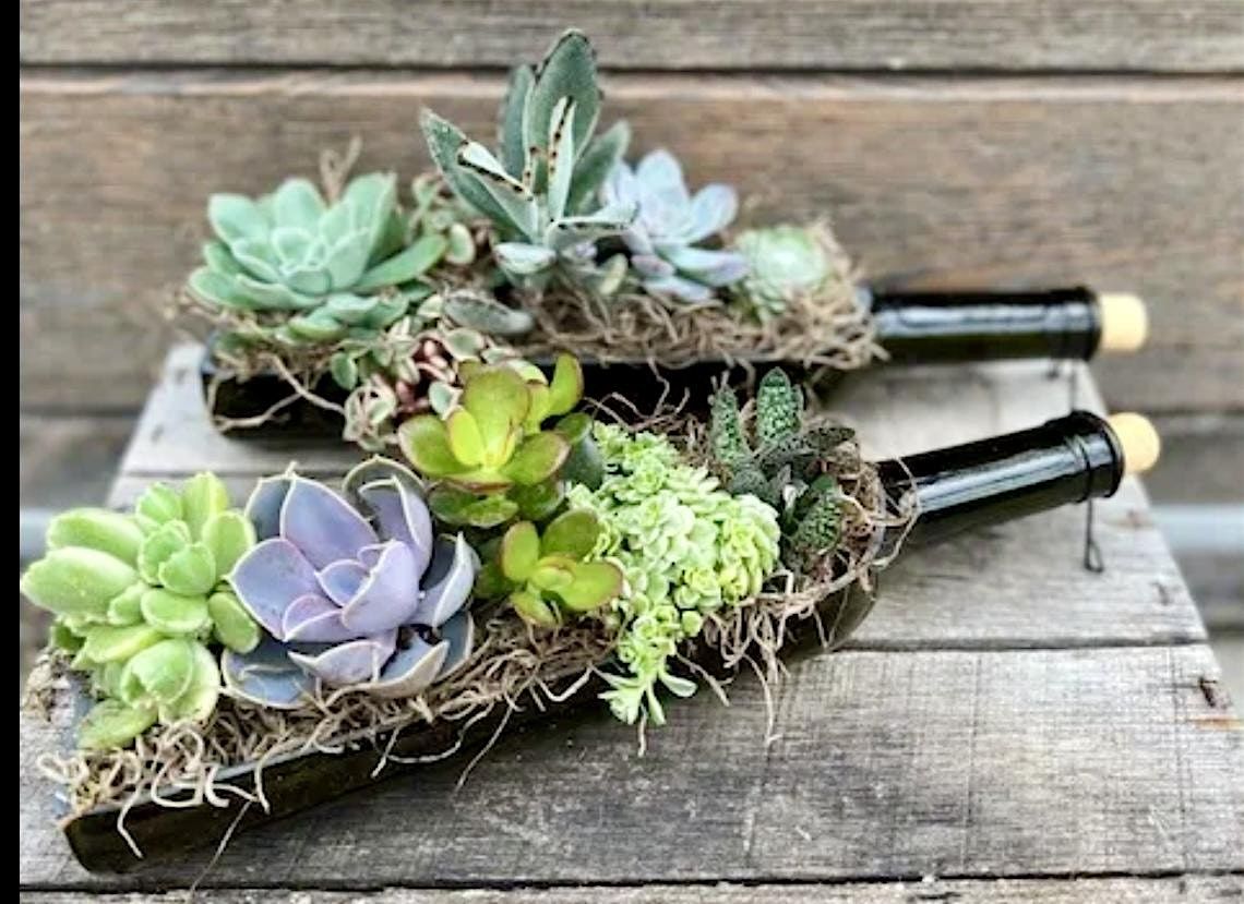 Succulent Wine Bottle Arrangement