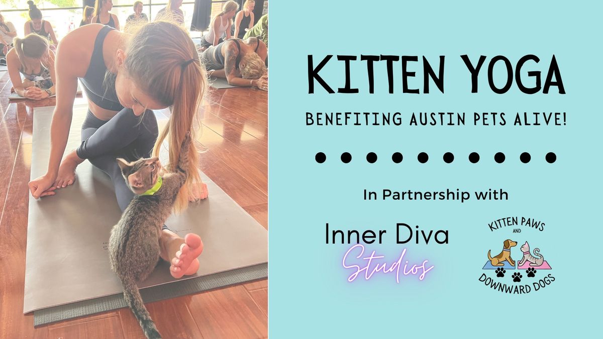 Kitten Yoga Benefitting Austin Pets Alive!