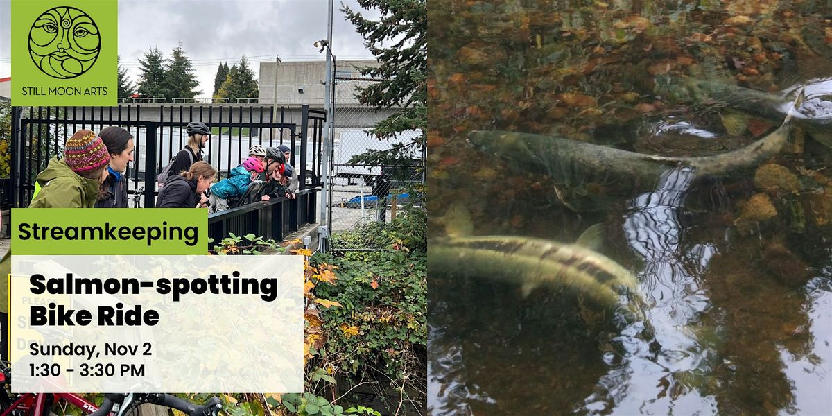Salmon-Spotting Bike Ride Along Still Creek