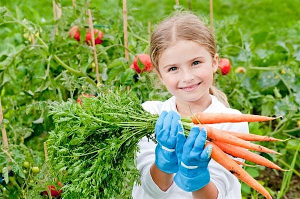 Junior Farmer Summer Camp