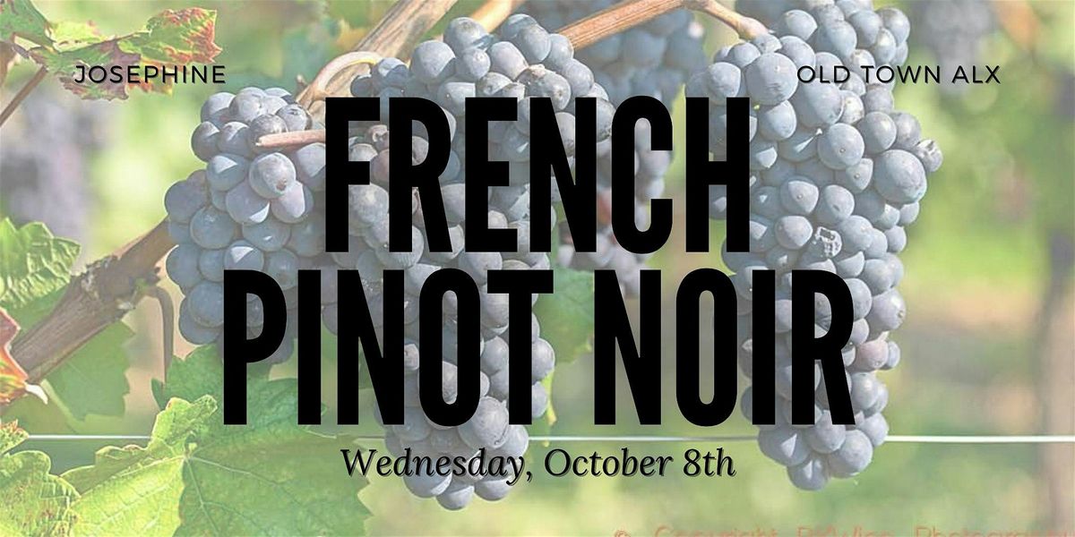 French Pinot Noir: A Wine Tasting and Class