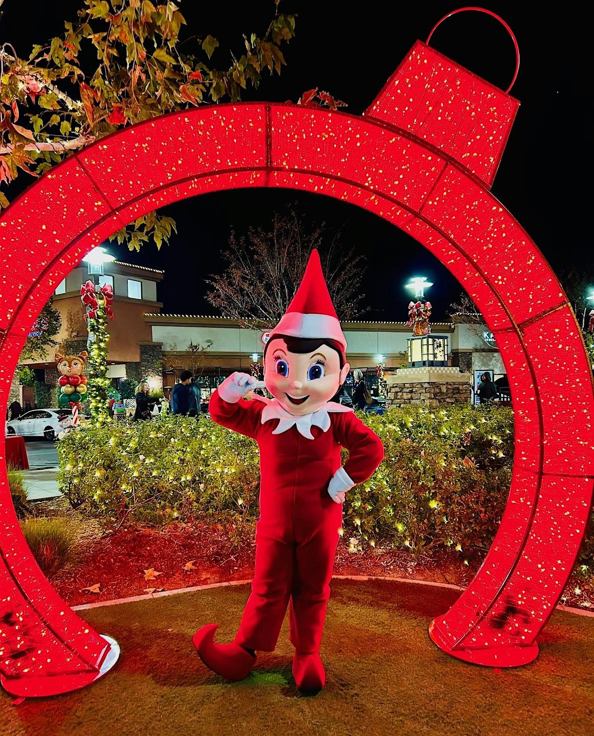 The Holiday Lights are ON!